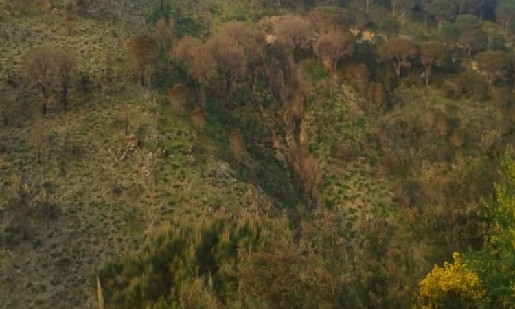 Salvare la natura significa prevenire le catastrofi: l’importanza dei Vigili del Fuoco