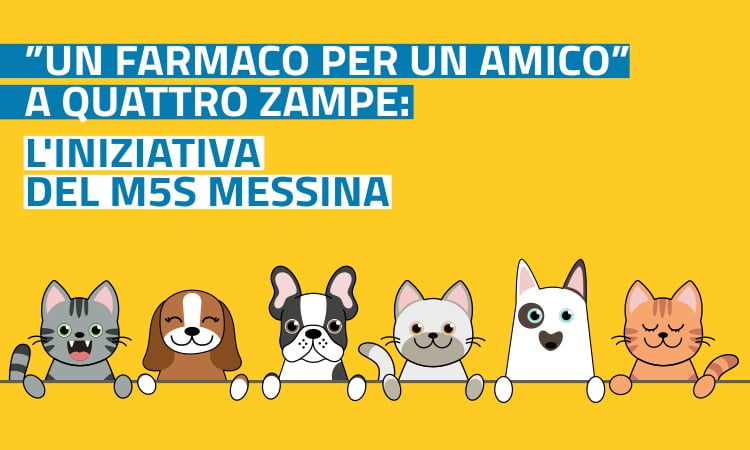 “Un farmaco per un amico” a quattro zampe: l’iniziativa del M5S Messina